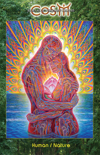 Cosm Journal 6